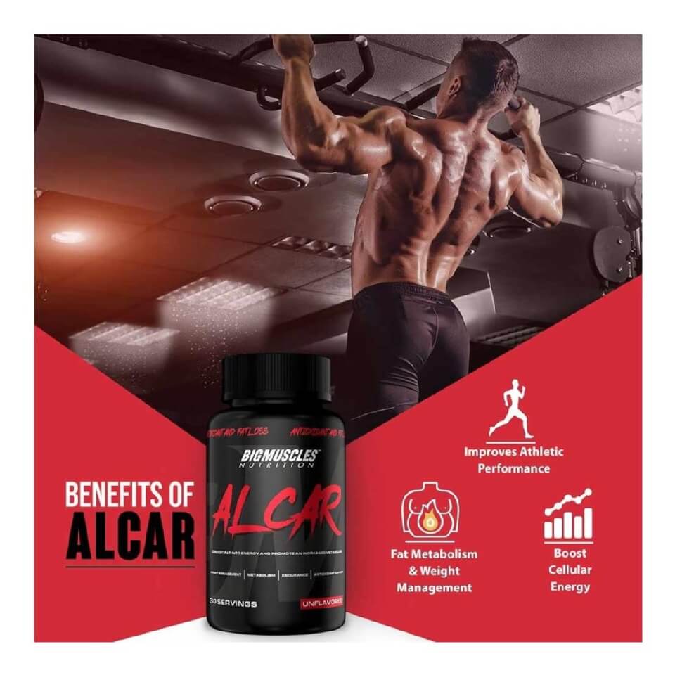 l carnitine big muscle Big Muscles L Carnicut Liquid L Carnitine – Nutriride