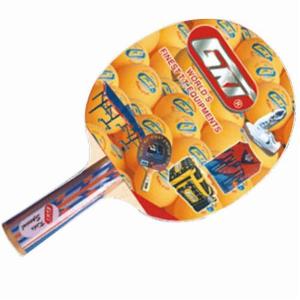 GKI EURO Fasto TT Racket