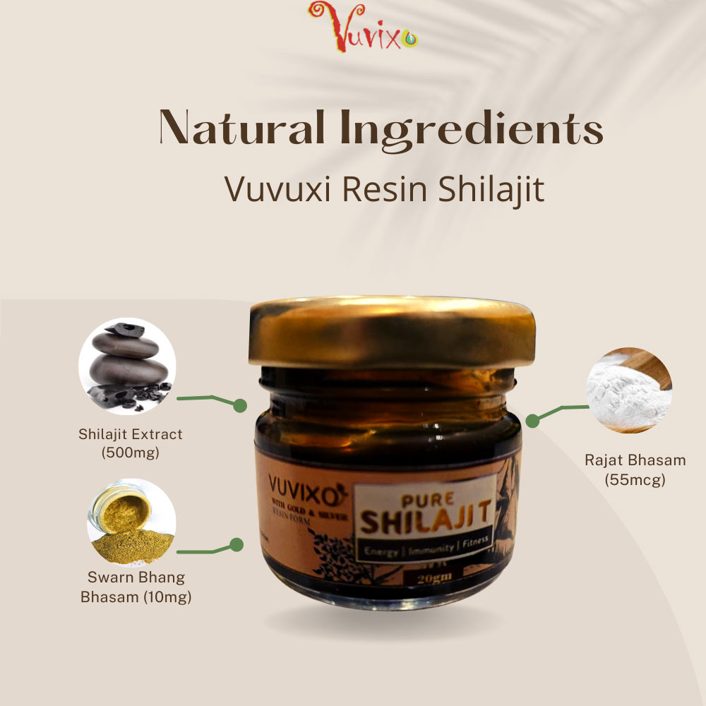 Pure Shilajit Resin at Best Price in India