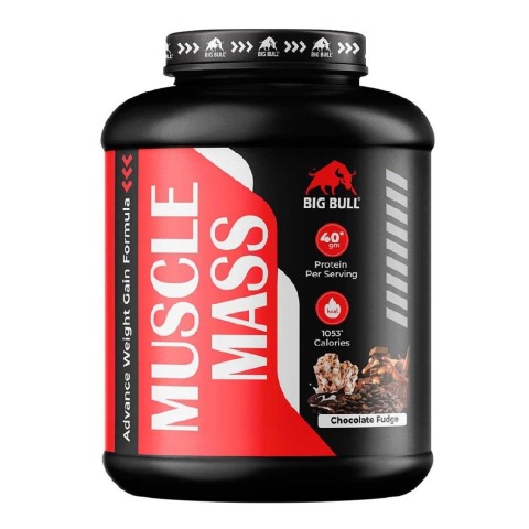 1 - Big Bull Muscle Mass,  6.6 lb  Chocolate Fudge 