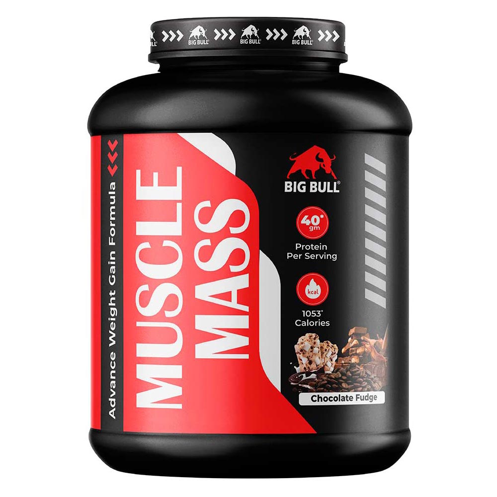 1 - Big Bull Muscle Mass,  6.6 lb  Chocolate Fudge 