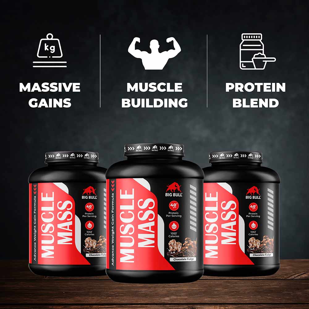 6 - Big Bull Muscle Mass,  6.6 lb  Chocolate Fudge 