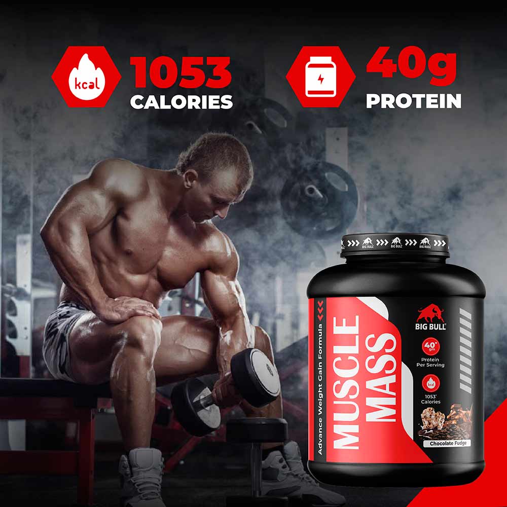 5 - Big Bull Muscle Mass,  6.6 lb  Chocolate Fudge 