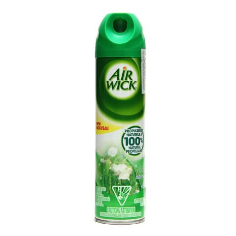 Airwick Air Freshner Spray,  Rain Garden 