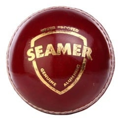 SG Seamer Cricket Ball,  Red  Leather  Single Unit 
