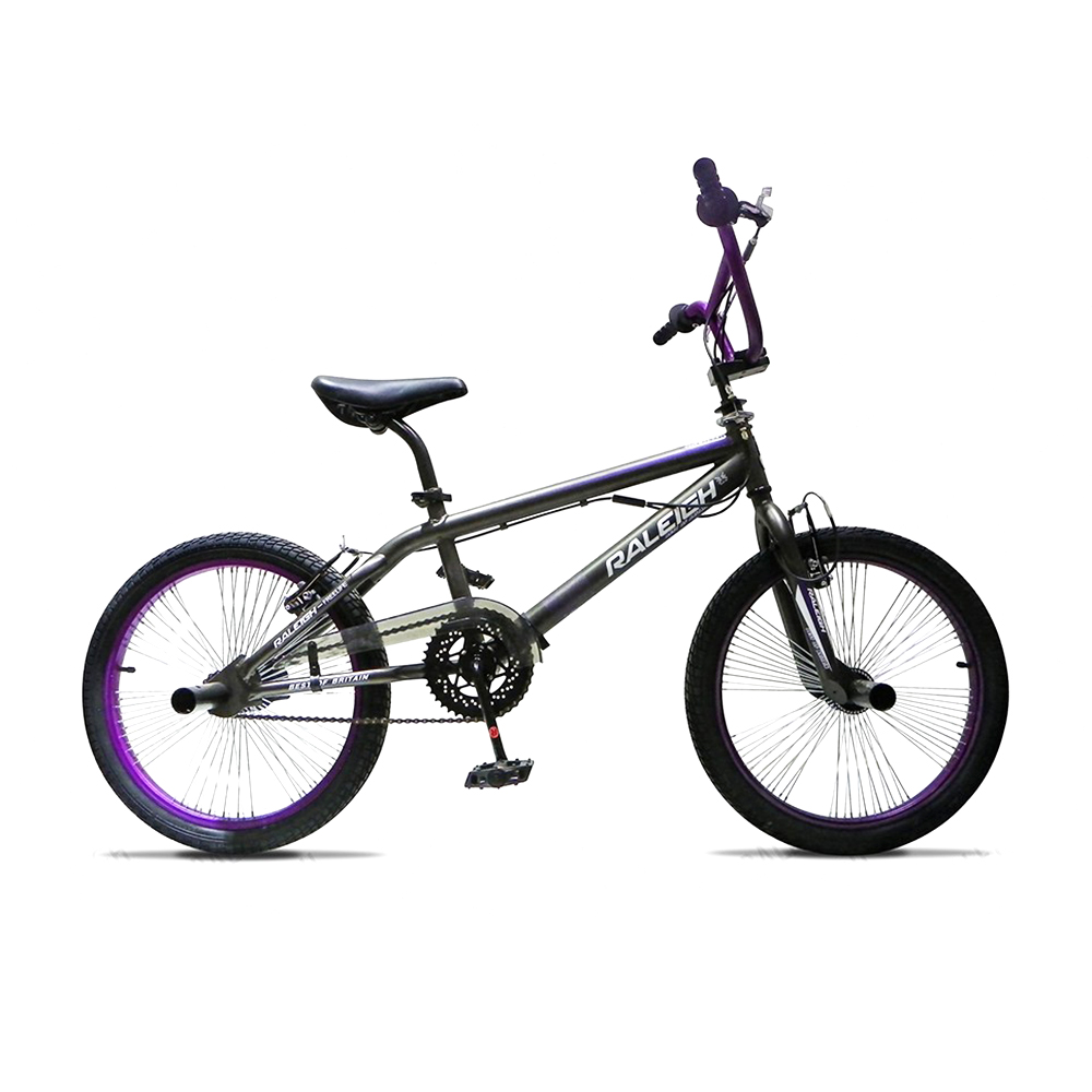 Raleigh Free Life BMX Bicycle,  Black/Green 