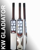 SS Gladiator Cricket Bat