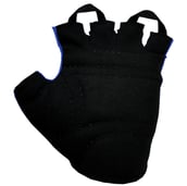 KOBO Weight Lifting Gloves (WTG-05),  Blue  XL 