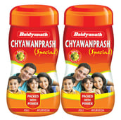 Baidyanath Chyawanprash Special - Pack of 2 0.500 kg
