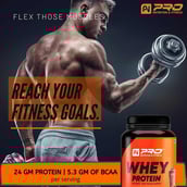 3 - Pro Nutrition & Fitness Whey Protein,  2.2 lb  Chocolate Brownie 