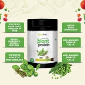 5 - NutraFirst 100% Natural Plant Protein, Raw Chocolate 1.1 lb