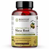 1 - Rooted Active Naturals Maca Root Gelatinised for Better Absorption,  90 capsules 