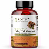 1 - Rooted Active Naturals Turkey Tail Mushroom, 120 capsules