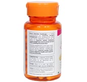 Shrey's Garcinia Cambogia Extract 500 mg,  60 capsules 