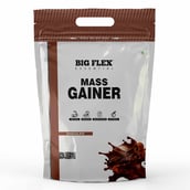 1 - Big Flex Essential Mass Gainer,  6.6 lb  Chocolate 