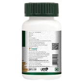 3 - Vogue Wellness Shatavari - Pack of 2,  60 tablet(s) 