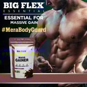 3 - Big Flex Essential Mass Gainer,  2.2 lb  Chocolate Pack of 3 