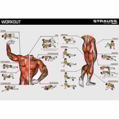 7 - Strauss Grid Yoga Massage Foam Roller,  Multicolor Purple  33cm 