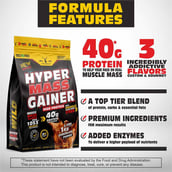 2 - Wild Buck Hyper Mass Gainer,  2.2 lb  Chocolate Fudge 