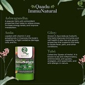1 - Qaadu ImmuNatural,  60 capsules 