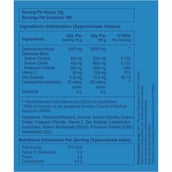 4 - ElectroFizz Electrolyte Powder,  1 kg  Blueberry 