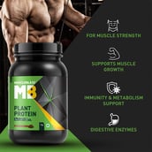4 - MuscleBlaze Plant Protein OP, 2.2 lb Rich Chocolate