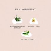 3 - SheNeed Feminine Intimate Wipes,  25 Piece(s)/Pack  100% Biodegradable 