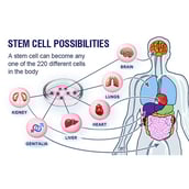 3 - Keva Triple Stem Cell Drops,  30 ml 