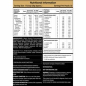 3 - MuscleXP Beginner's Protein with Digestive Enzymes,  2.2 lb  Belgium Chocolate (Pack of 3) 