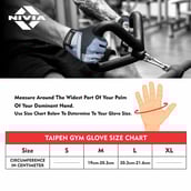 Nivia Taipen Sports Gloves, S.Blue/Grey Large