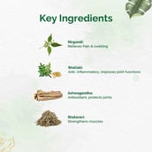 5 - Dr. Vaidya's Pain Relief Oil,  100 ml 