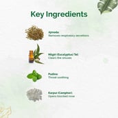 5 - Dr. Vaidya's Inhalant,  10 g 