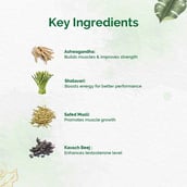 4 - Dr. Vaidya's Herbobuild (Pack of 3),  50 capsules 