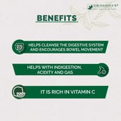 6 - Dr. Vaidya's Triphala Juice,  Natural  1 L 