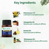 6 - Dr. Vaidya's Pain Relief Caps, Ointment & Oil Combo,  4 Piece(s)/Pack 