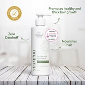 3 - Natural Infusions Zero Hair Fall & Zero Dandruff Shampoo,  250 ml  Infused with Redensyl (Pack of 3) 