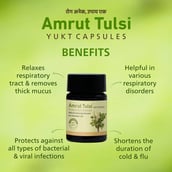 3 - Amrut Tulsi Yukt,  30 capsules 