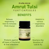 3 - Amrut Tulsi Yukt (Pack of 3),  30 capsules 