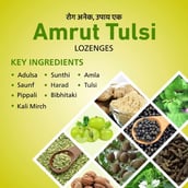 3 - Amrut Tulsi Lozenges (Ginger Mint),  5 Strip(s) 
