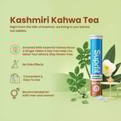 3 - Suprfit Kashmiri Kahwa Tea Detox,  Tea Masala  20 tablet(s) 