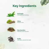 5 - Dr. Vaidya's Liver Care,  30 capsules 