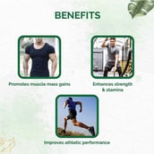 3 - Dr. Vaidya's Herbobuild DS,  30 capsules 