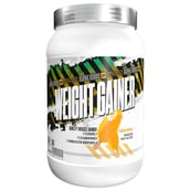 1 - Absolute Nutrition Alpha Weight Gainer,  2.2 lb  Mango Smoothie 