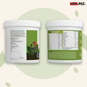 10 - SwisseMe Plant Protein,  1.1 lb  Chocolate 