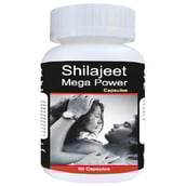 Shivalik Herbals Shilajeet Mega Power