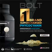 5 - Bolt Whey Isolate Super-Charged With Phycocyanin, 2 lb Piedmont Chocolate
