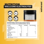 3 - Wellcore Electrolytes,  0.44 lb  Orange 