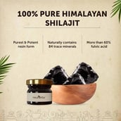3 - Neuherbs Pure Himalayan Shilajit,  15 g