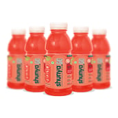 1 - Shunya GO,  300 ml  Mixed Fruit Mania (Pack of 6) 