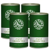 Laplant Mint Green Tea,  100 g  Mint (Pack of 4) 